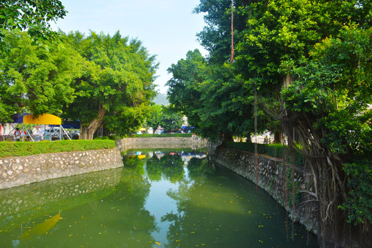 池塘风景