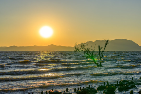 昆明滇池湿地公园夕阳日落