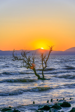 昆明滇池湿地公园夕阳日落