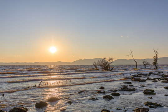 昆明滇池湿地公园夕阳日落