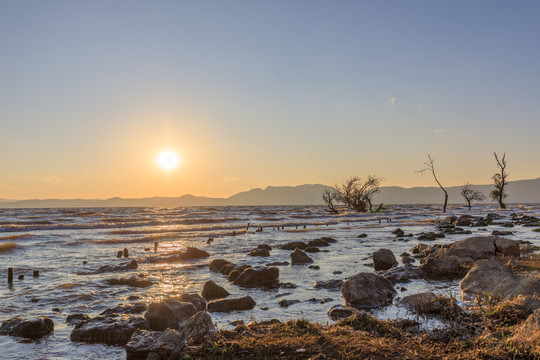 昆明滇池湿地公园夕阳日落