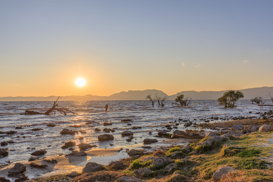 昆明滇池湿地公园夕阳日落