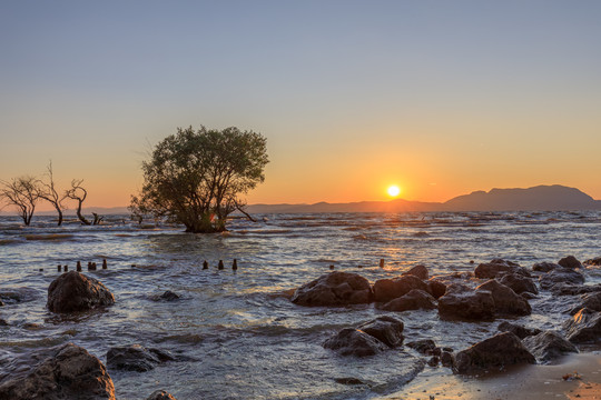 昆明滇池湿地公园夕阳日落