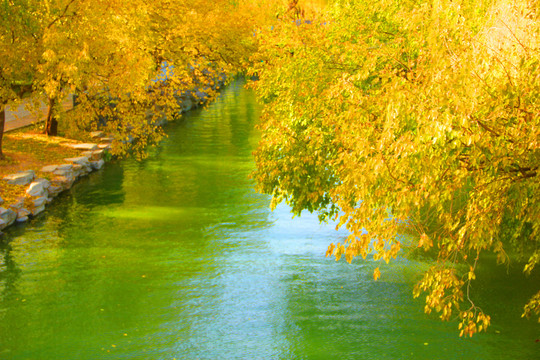 秋天的河水