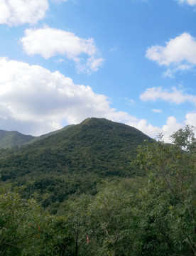 绿色山峰