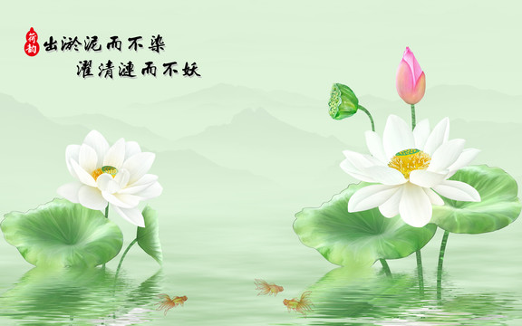 白蓮