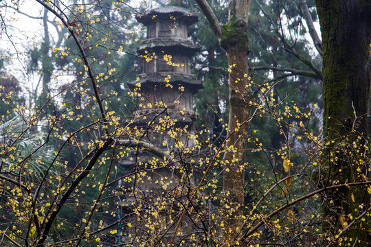 杭州灵隐寺