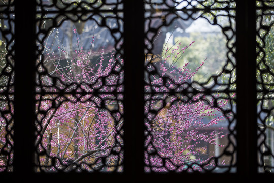 杭州灵隐寺