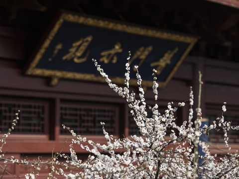 杭州灵隐寺