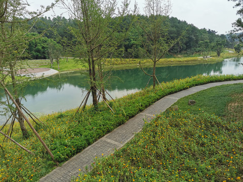 永安湖城市森林公园