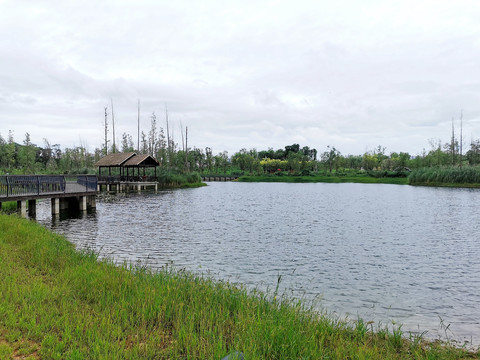 白鹭湾湿地公园