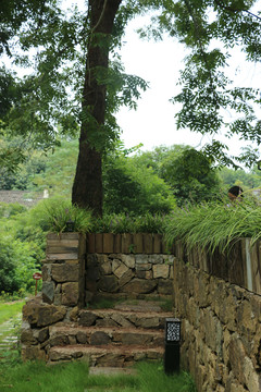 鄉(xiāng)村小院