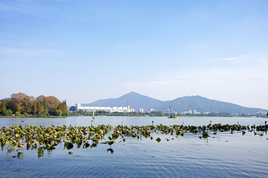 玄武湖