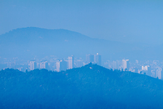 柳暗花明又一村