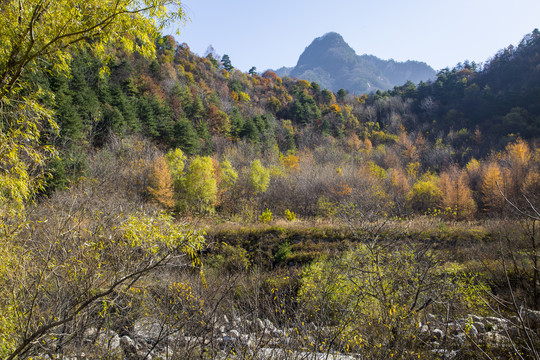 秦岭山秋色