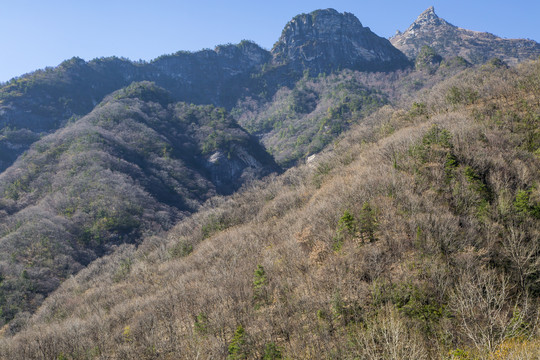 秦岭山自然风光