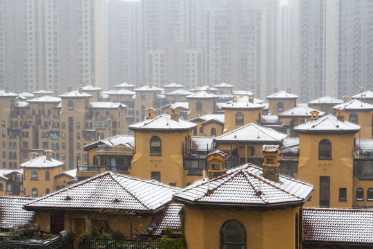 雪景