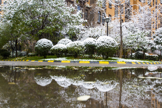 雪景