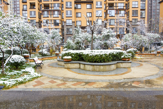 小区雪景