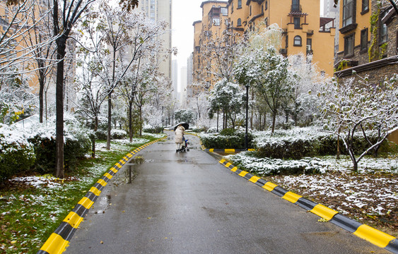 小区雪景