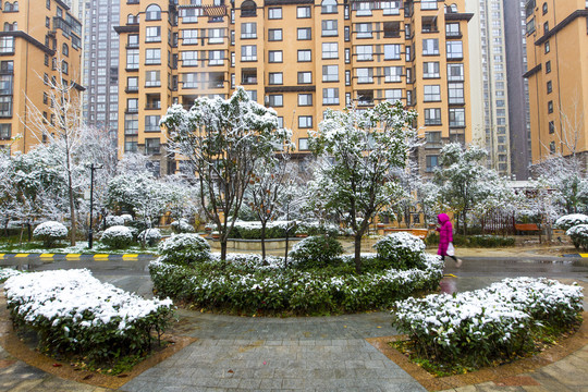 雨雪