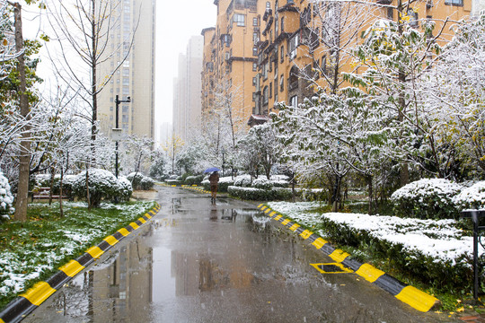 住宅小区雪景