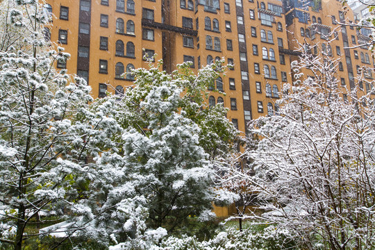 小区雪景