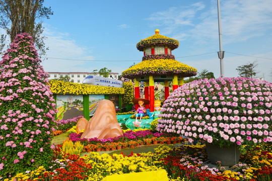 菊花塑造场景