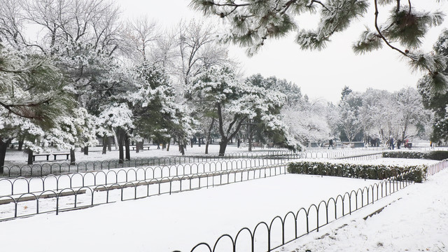 北京天坛公园雪景