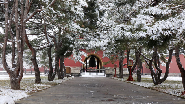 北京天坛公园雪景