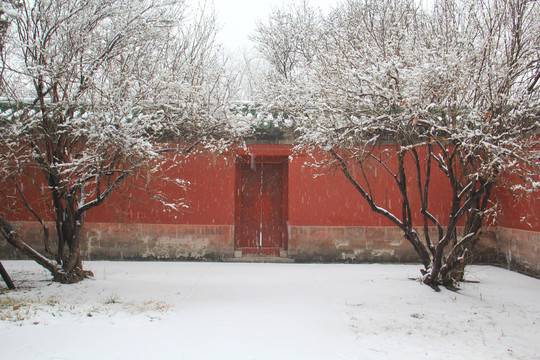 北京天坛公园雪景