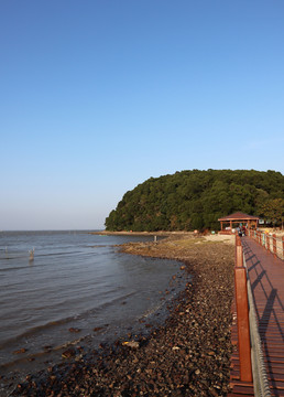 海陵岛红树林