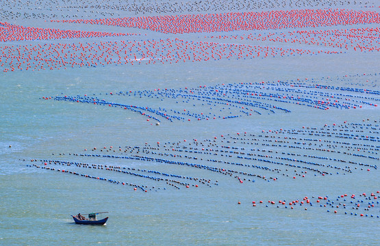 海鲜养殖