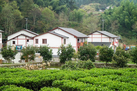 井冈山神山村