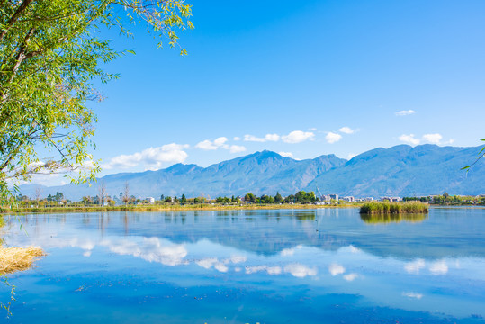 云南鹤庆草海湿地