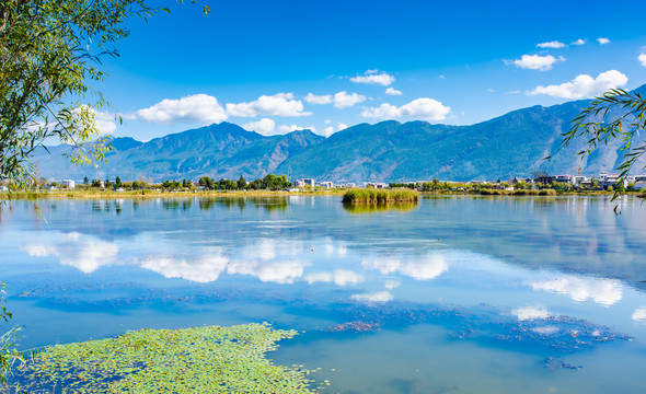 云南鹤庆草海湿地