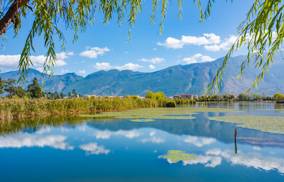 云南鹤庆草海湿地