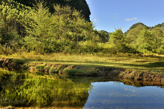 山谷溪水草甸