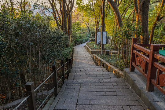 山间石板路