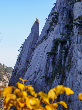 安徽黄山风景区