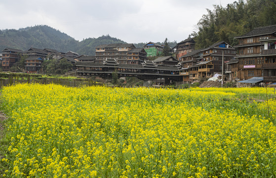 三江程阳桥八寨