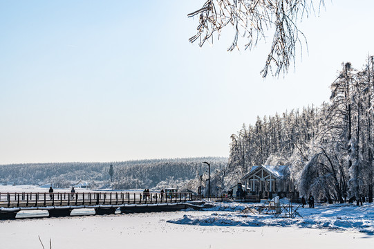 长春净月潭国家森林公园冬季雪景