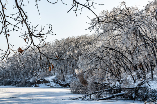 长春净月潭国家森林公园冬季雪景