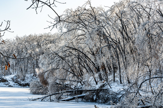 长春净月潭国家森林公园冬季雪景