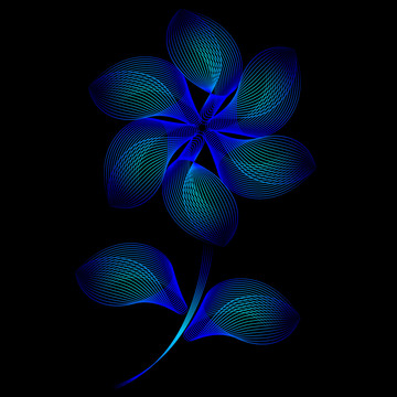 花炫彩