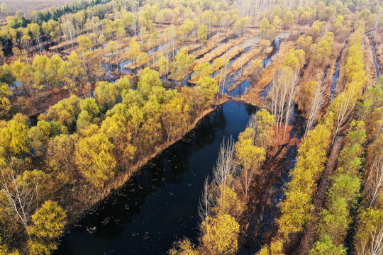 山东微山湖湿地风光