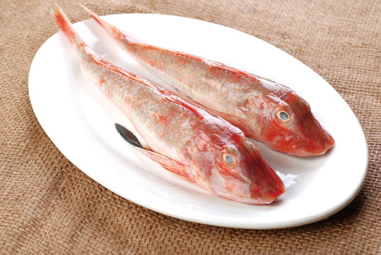 红角鱼