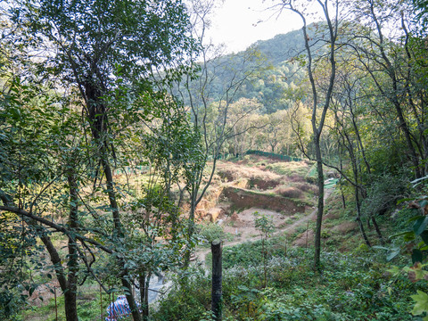 杭州凤凰山圣果寺遗址发掘现场