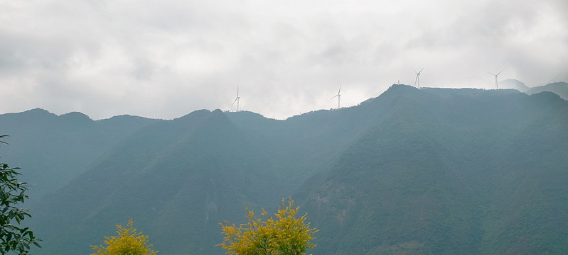 雾里深山