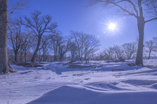 雪后的阳光